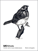 UC himura. �G���s�c �C���X�g�uUC �z�E�A�J�v