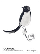 UC himura. �G���s�c �C���X�g�uUC �璹�v