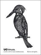 UC himura. �G���s�c �C���X�g�uUC �J���Z�~�v